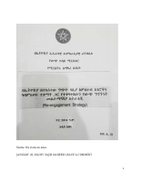 leaked Ethiopia Foreign Ministry document.pdf